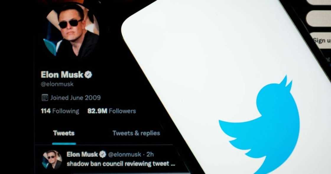 Elon Musk, R640billion, Twitter bid, ownership, could be accepted Elon Musk, R640billion, Twitter bid, ownership, could be accepted