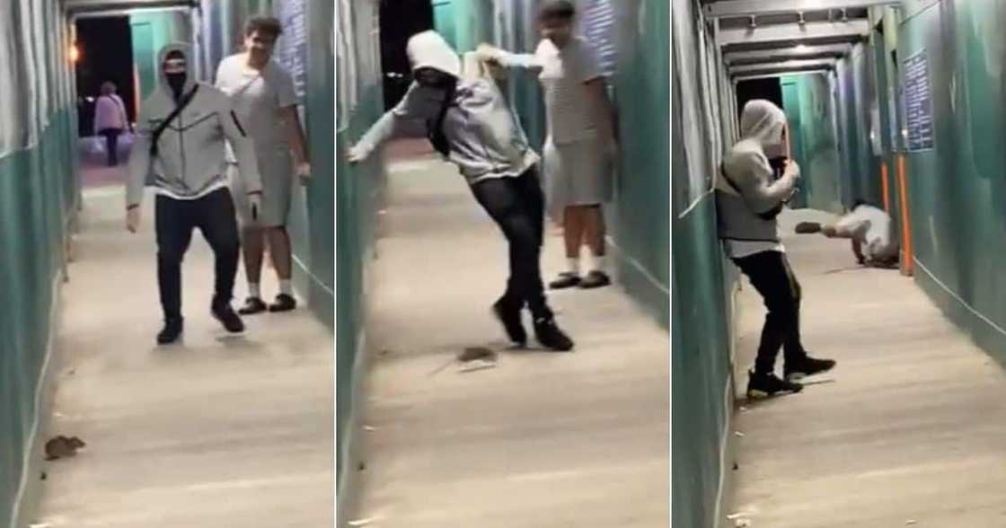 Men running away from rats Men running away from rats
