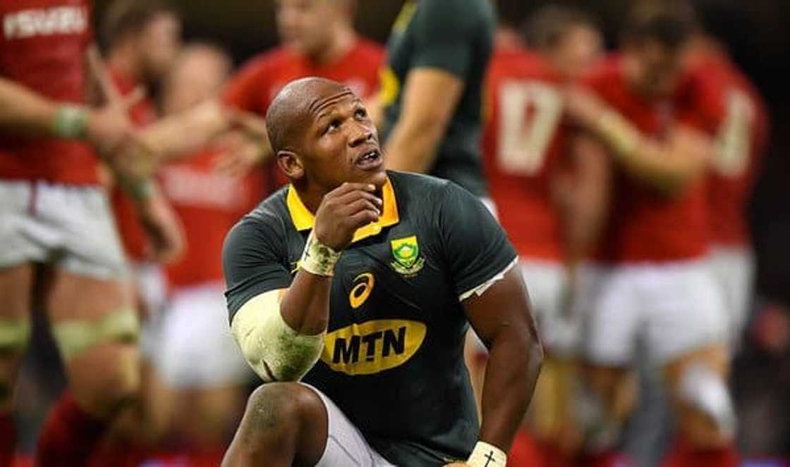 Bongi Mbonambi age, height, weight, wife, education, current team, stats and salary Bongi Mbonambi age, height, weight, wife, education, current team, stats and salary