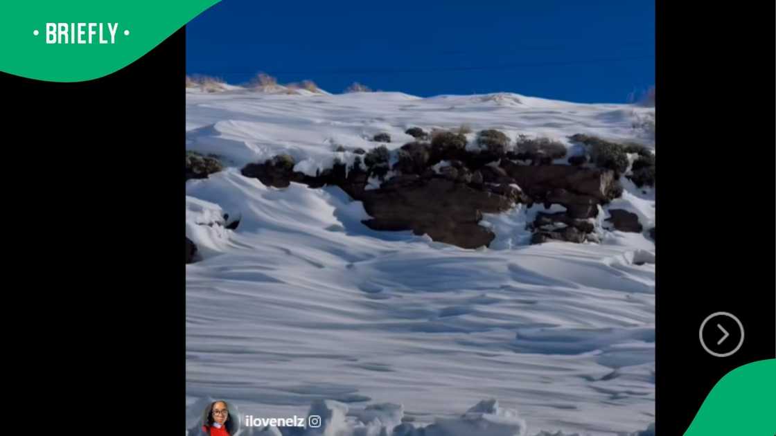 A video went viral on Instagram this June.