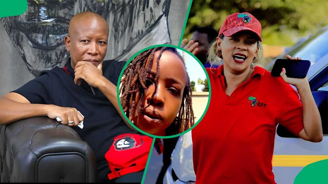 Ntsiki Mazwai weighed in on the video between Julius and Mathys Ntsiki Mazwai weighed in on the video between Julius and Mathys