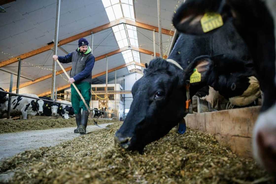 Marc Bernhardt joined protests this week after the government decided to cut farm subsidies Marc Bernhardt joined protests this week after the government decided to cut farm subsidies