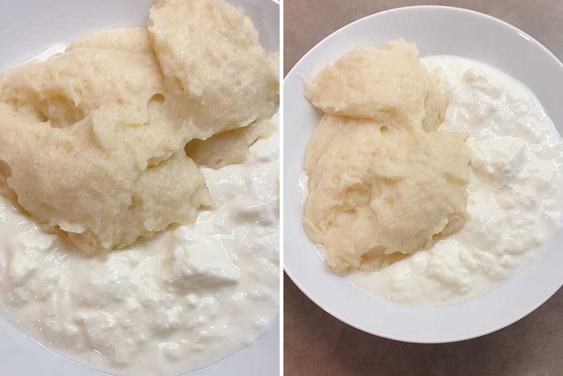 Hodzeko Hodzeko