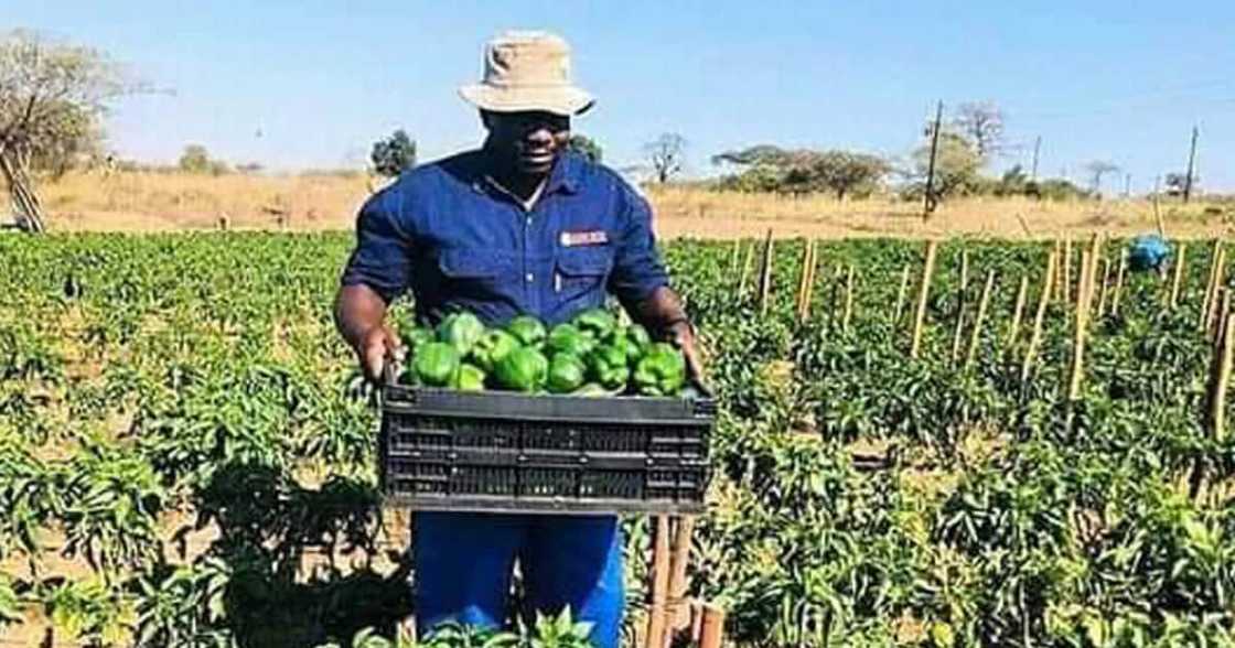 Local farmer, inspiration, motivation