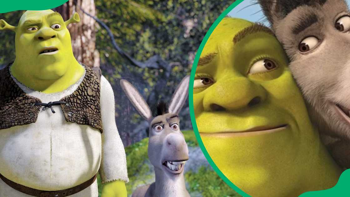 Shrek and Donkey Shrek and Donkey