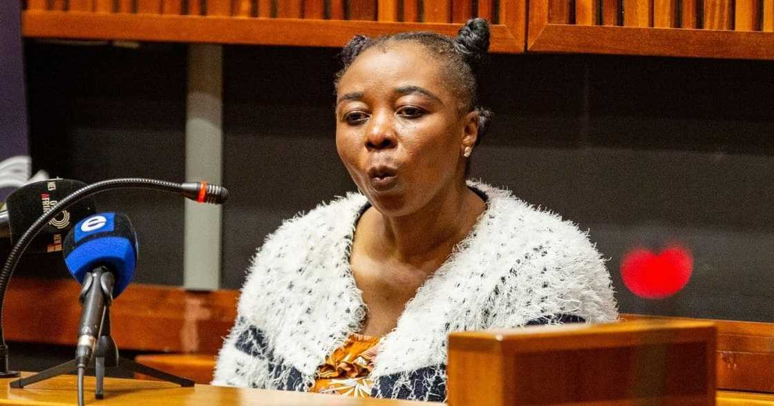 Rosemary Nomia Ndlovu, leg chains, Zanele Motha, death Rosemary Nomia Ndlovu, leg chains, Zanele Motha, death