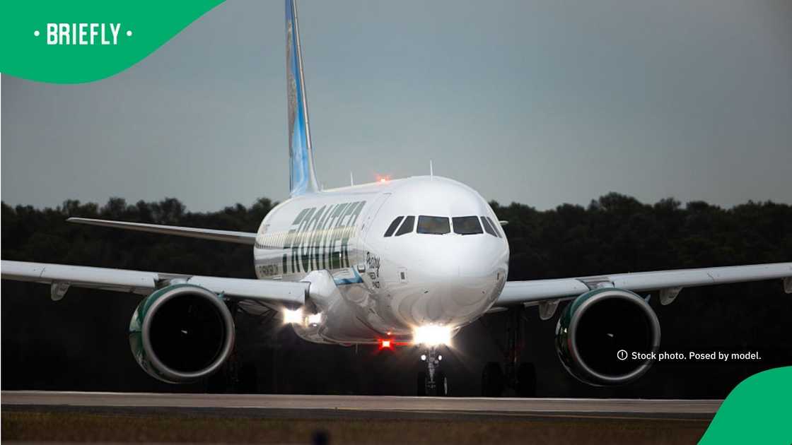 The image captured the commotion after passengers realised their plane had hit a person The image captured the commotion after passengers realised their plane had hit a person
