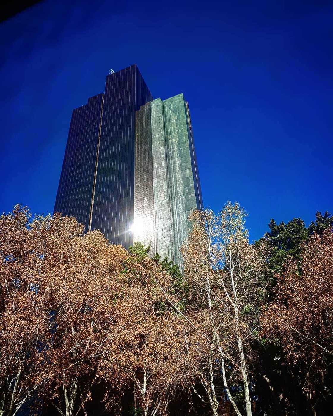 What is the tallest building in South Africa What is the tallest building in South Africa