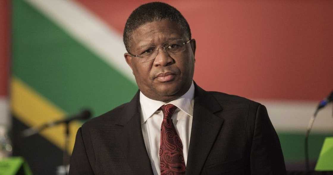 Fikile Mbalula. driver's licence, e-Booking, renewal, fees, register