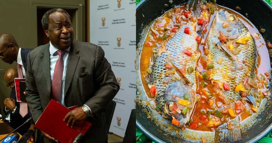 Tito Mboweni, food, cooking, fish, meal, trending, viral, South Africa, politician Tito Mboweni, food, cooking, fish, meal, trending, viral, South Africa, politician