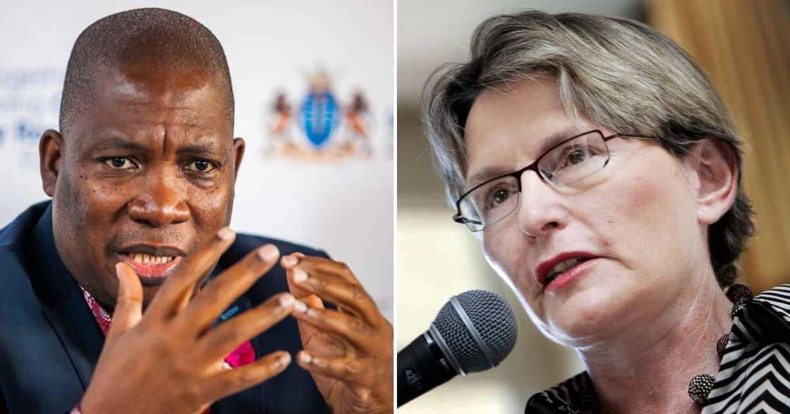 Gauteng MEC Panyaza Lesufi and DA Federal Chairperson Helen Zille Gauteng MEC Panyaza Lesufi and DA Federal Chairperson Helen Zille