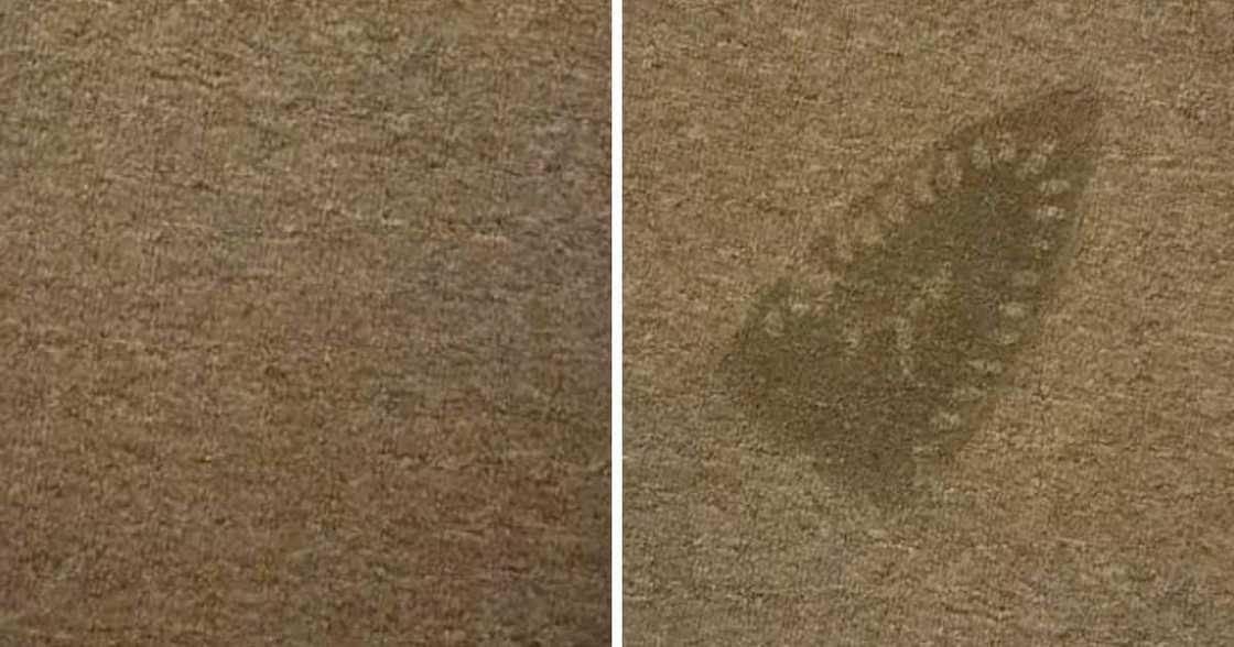 Burned Carpet