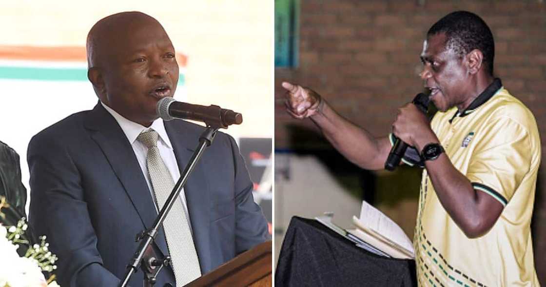 David Mabuza confirms resignation David Mabuza confirms resignation