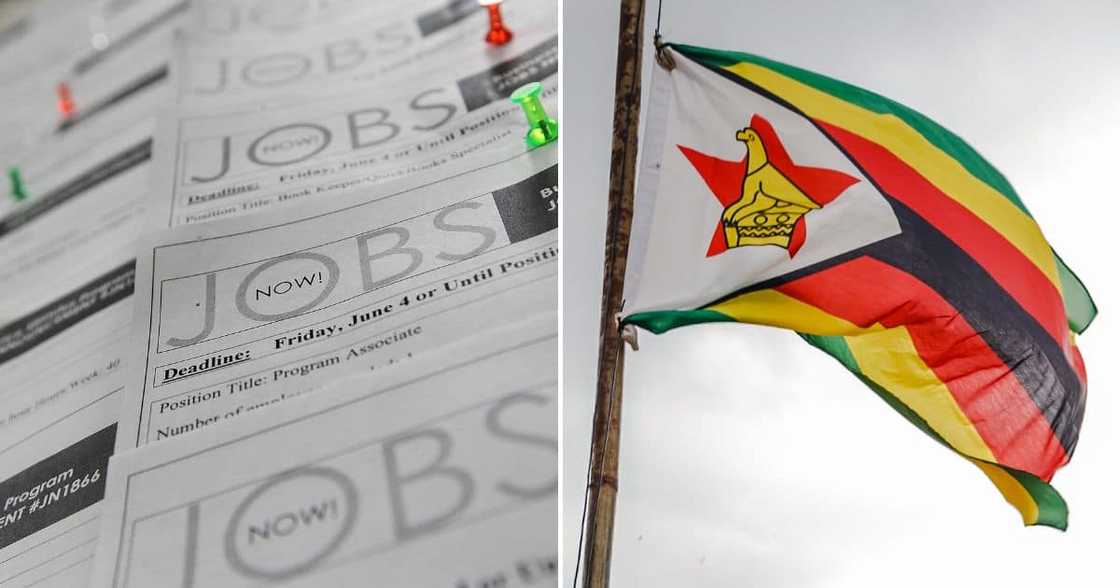 Zimbabweâs Unemployment Reaches All-Time High, Trade Union Calls for
