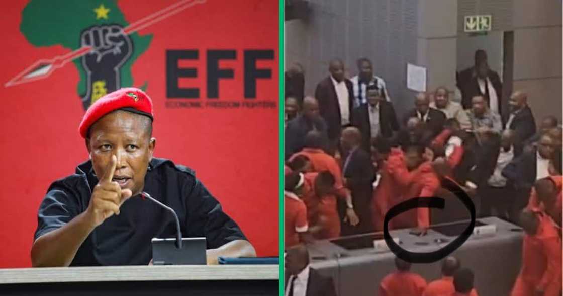 An EFF councillor 'stole and theft' a phone An EFF councillor 'stole and theft' a phone