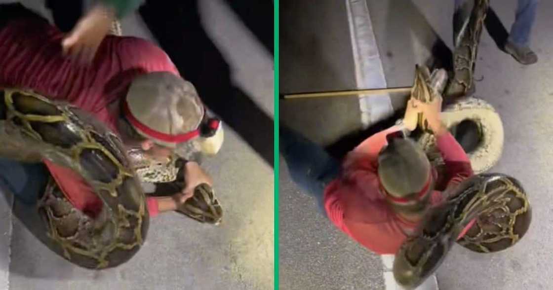A man fights a python A man fights a python