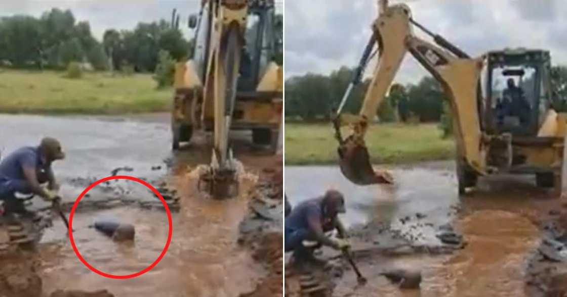 Video, Mzansi, social media, TLB, burst pipe Video, Mzansi, social media, TLB, burst pipe