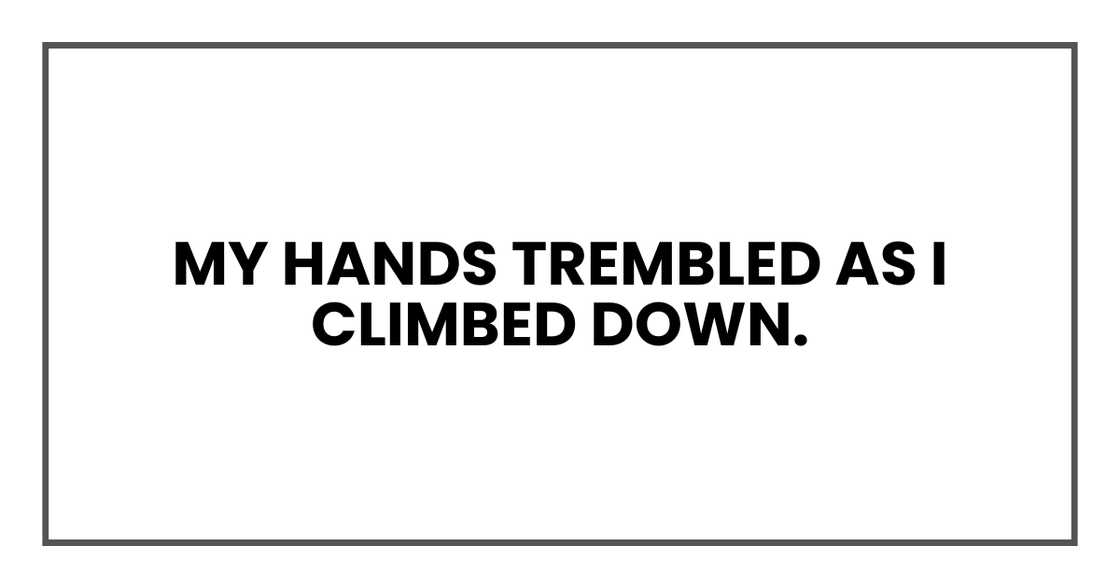 My hands trembled as I climbed down.