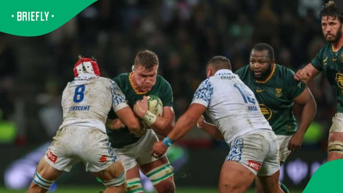 Springboks, Cobus Wiese, South Africa, Ox Nche Springboks, Cobus Wiese, South Africa, Ox Nche