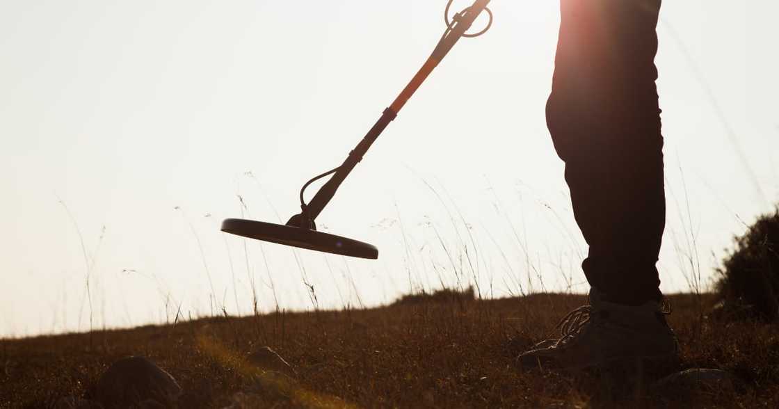 Metal detector, coin, rare, gold Metal detector, coin, rare, gold