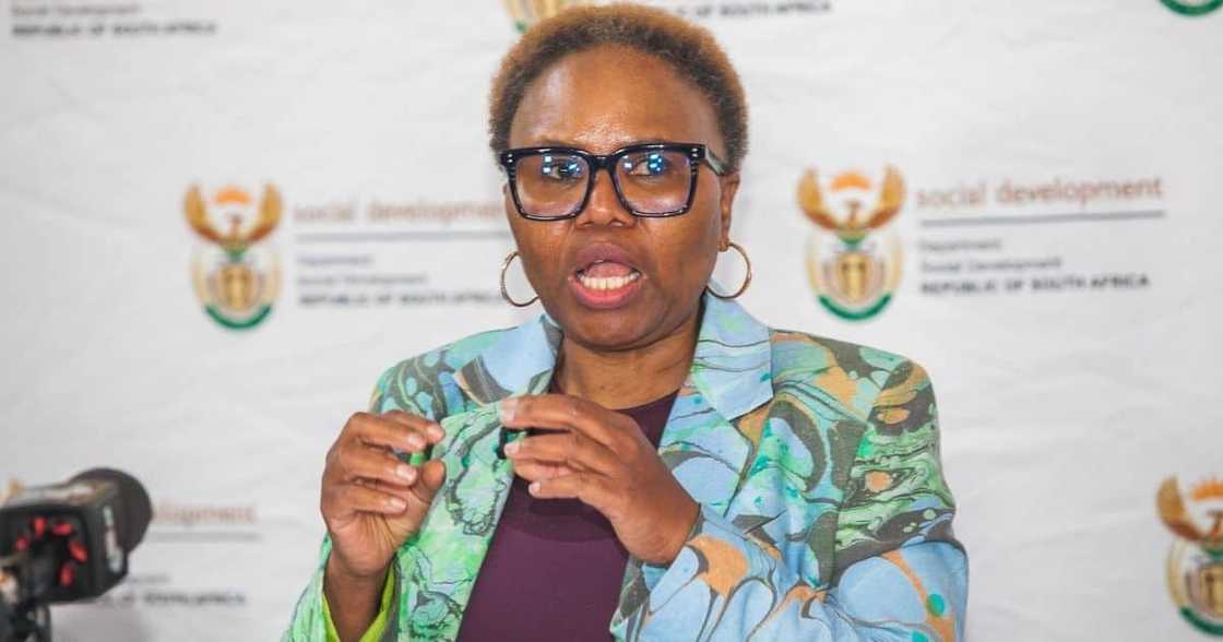 Lindiwe Zulu, withdraw, plan for social security fund, state run