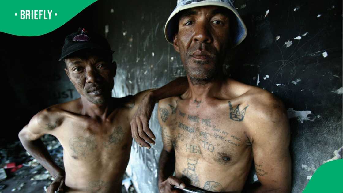 Gangsters go viral