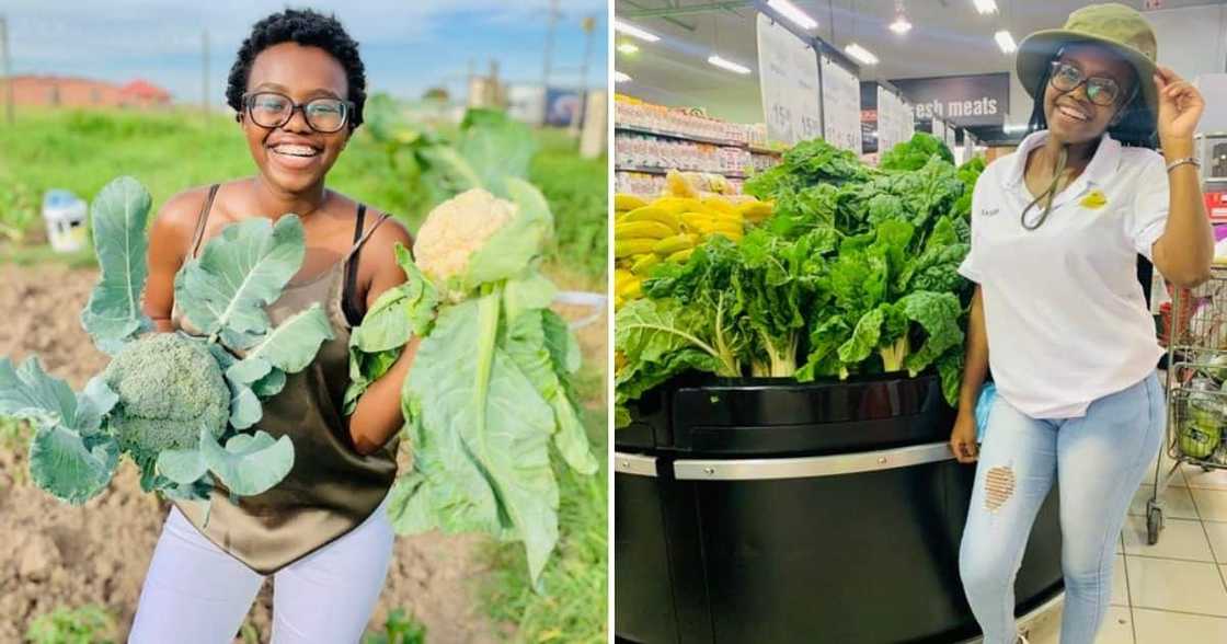 Mzansi, Ambitious, Young Farmer, Sinosaba Mzansi, Ambitious, Young Farmer, Sinosaba