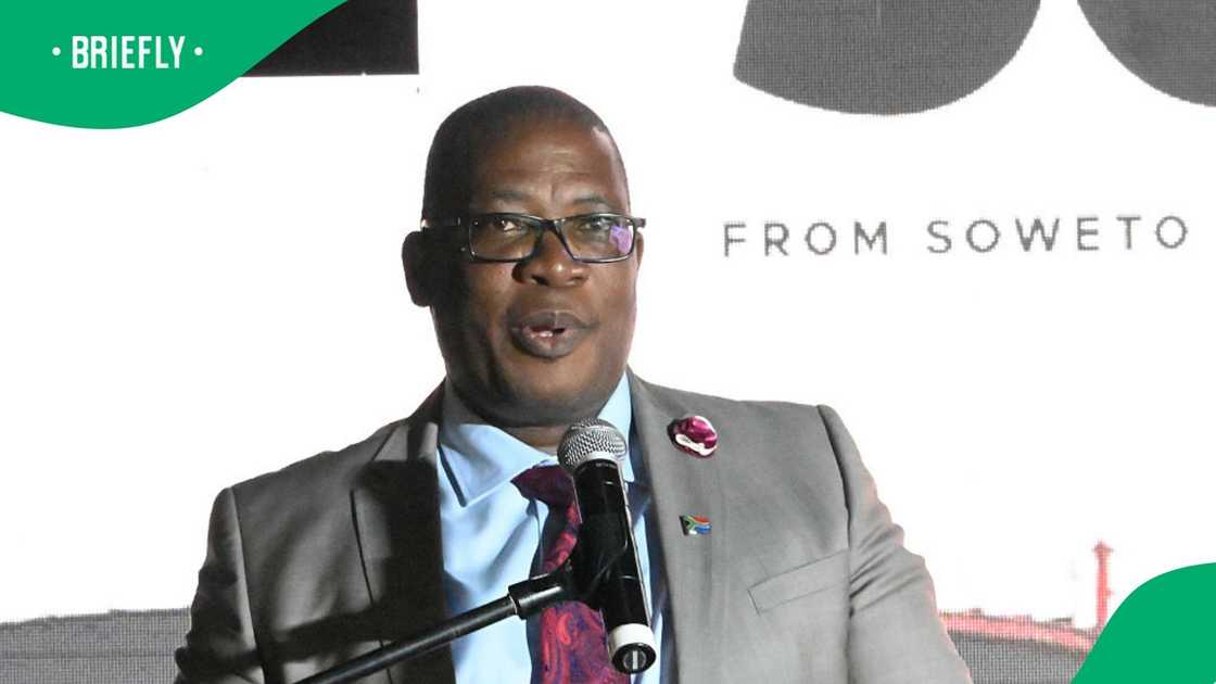 Gauteng Premier Panyaza Lesufi said undocumented foreigners must fix their paperwork Gauteng Premier Panyaza Lesufi said undocumented foreigners must fix their paperwork