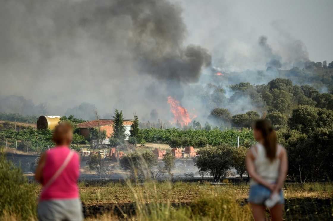 Smoke rising from the vineyards in Pumarejo, northwest Spain, on July 18, 2022 Smoke rising from the vineyards in Pumarejo, northwest Spain, on July 18, 2022