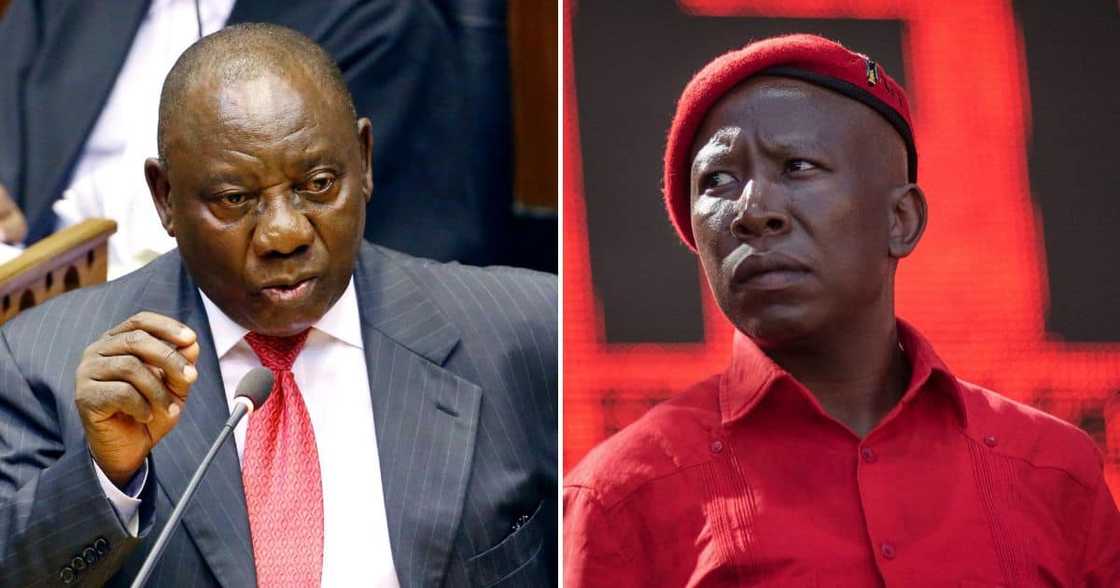 Julius Malema_Cyril Ramaphosa Julius Malema_Cyril Ramaphosa