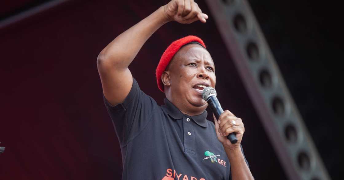 EFF, Julius Malema, Parliament, relocate, Moved Pretoria, video, social media EFF, Julius Malema, Parliament, relocate, Moved Pretoria, video, social media