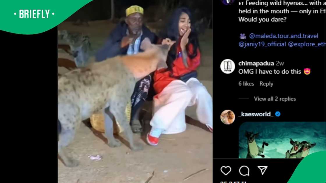 A woman had a close encounter with a hyena. A woman had a close encounter with a hyena.