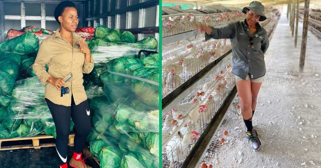 A KZN farmer who lost everything in the floods of 2022 has opened up about how her business has been since then. A KZN farmer who lost everything in the floods of 2022 has opened up about how her business has been since then.