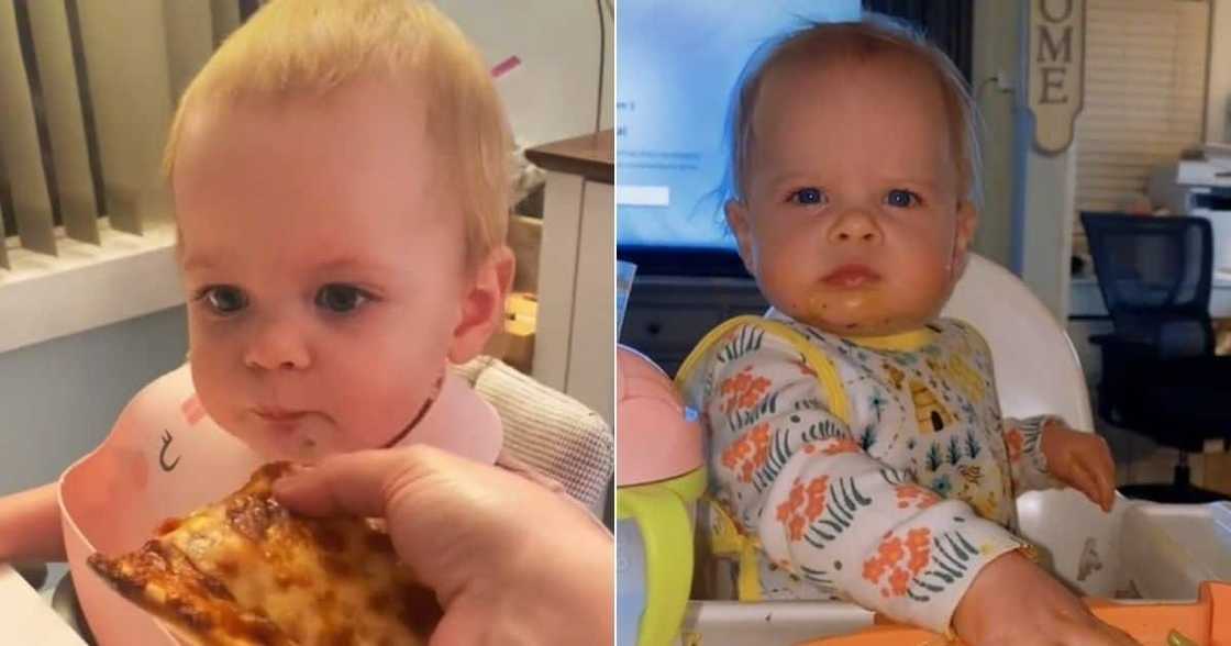 baby, pizza, heaven. tiktok, viral, foodie, mother, likes, Italy, cuisine, first, time baby, pizza, heaven. tiktok, viral, foodie, mother, likes, Italy, cuisine, first, time