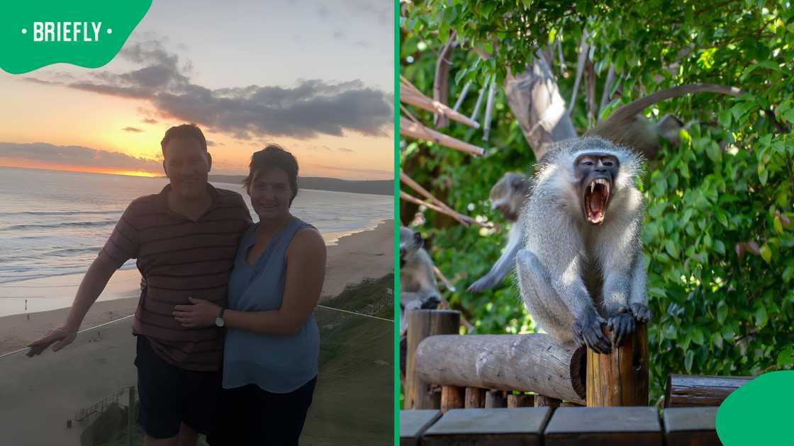 Couple fights off aggressive monkeys at Kruger picnic site
