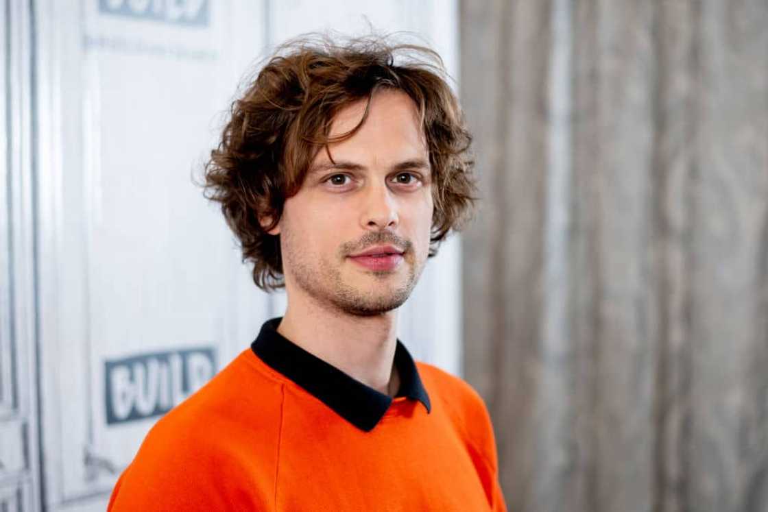 Matthew Gubler net worth, girlfriend, bio, house, salary Matthew Gubler net worth, girlfriend, bio, house, salary
