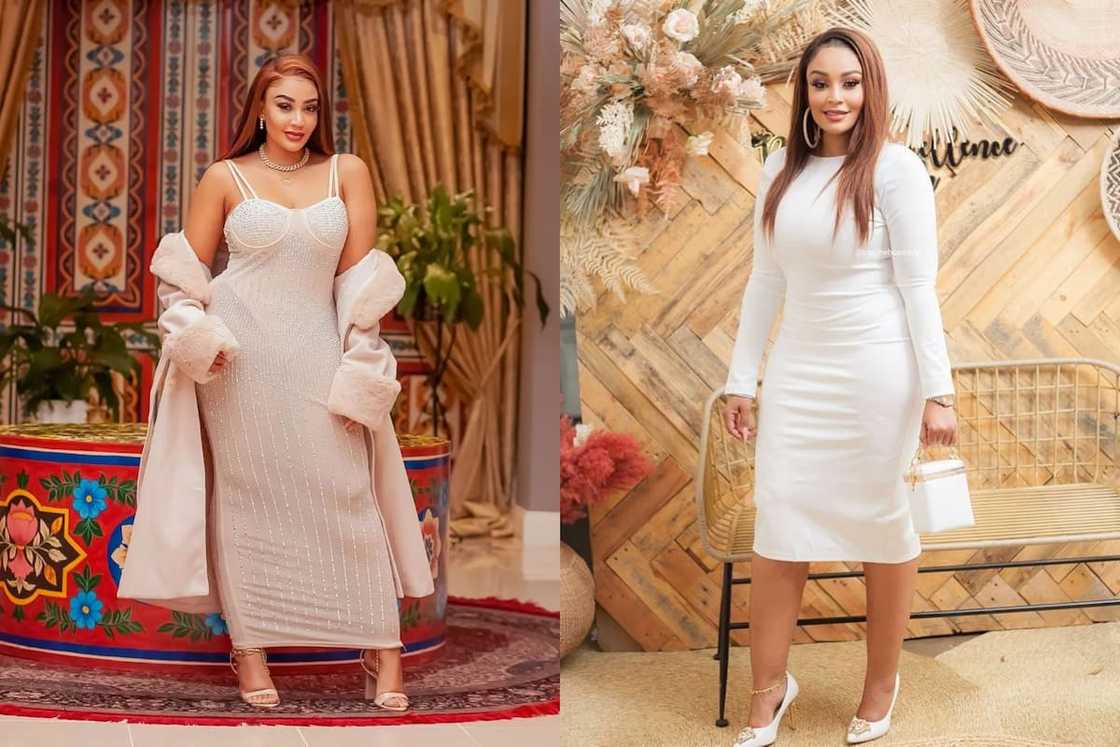 Zari Hassan Zari Hassan
