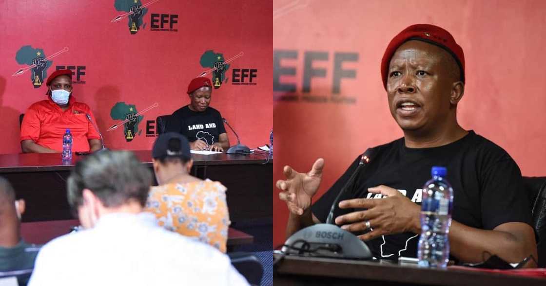 EFF believes Durban is a racist name for the city and wants it changed EFF believes Durban is a racist name for the city and wants it changed