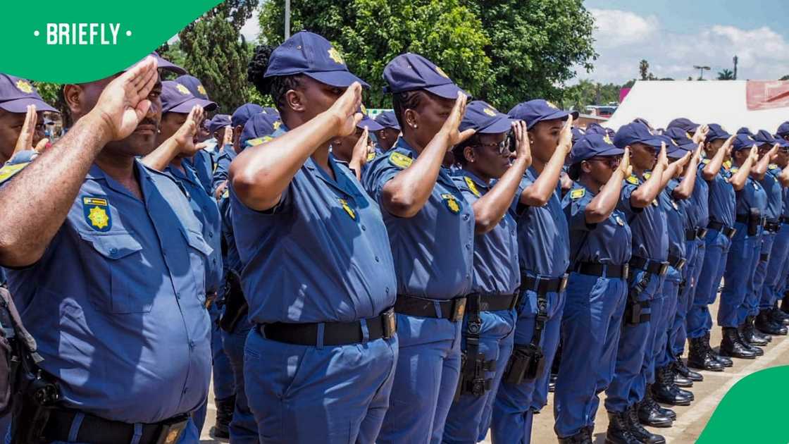 Gauteng SAPS will conduct random spaza shops raid for compliance