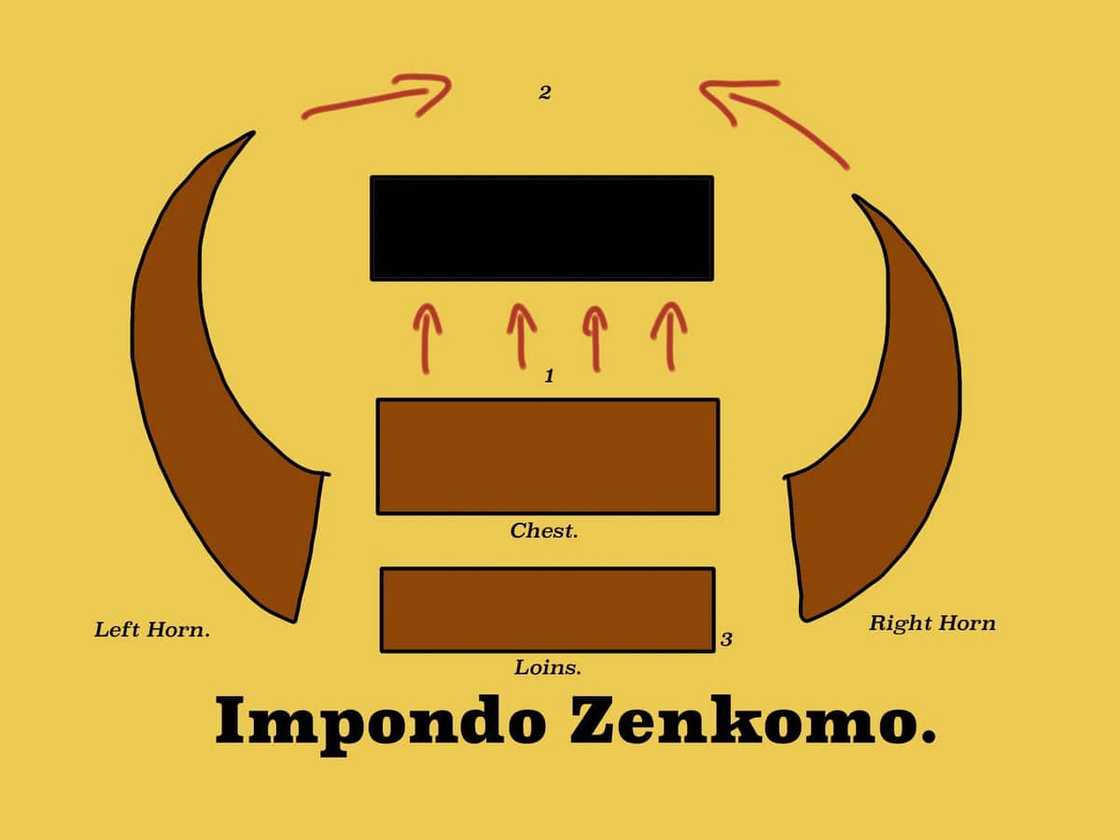 What was Shaka Zulu known for? What was Shaka Zulu known for?