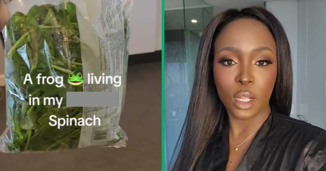 TikTok video posted by user @constance.beauty takes Mzansi by storm as it unveils a live frog TikTok video posted by user @constance.beauty takes Mzansi by storm as it unveils a live frog