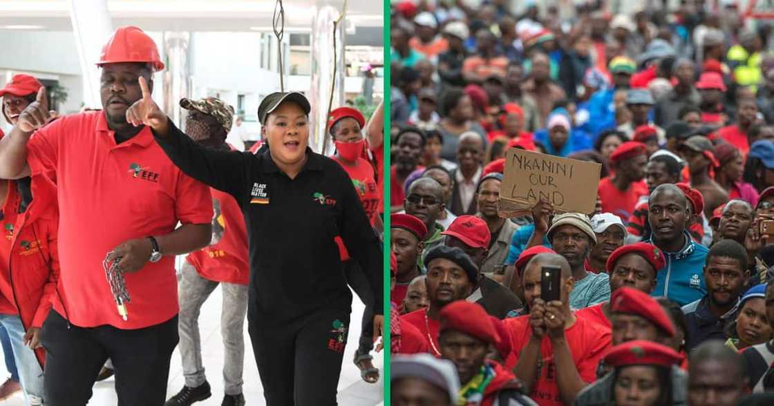 EFF welcomes immigration ahead of elections