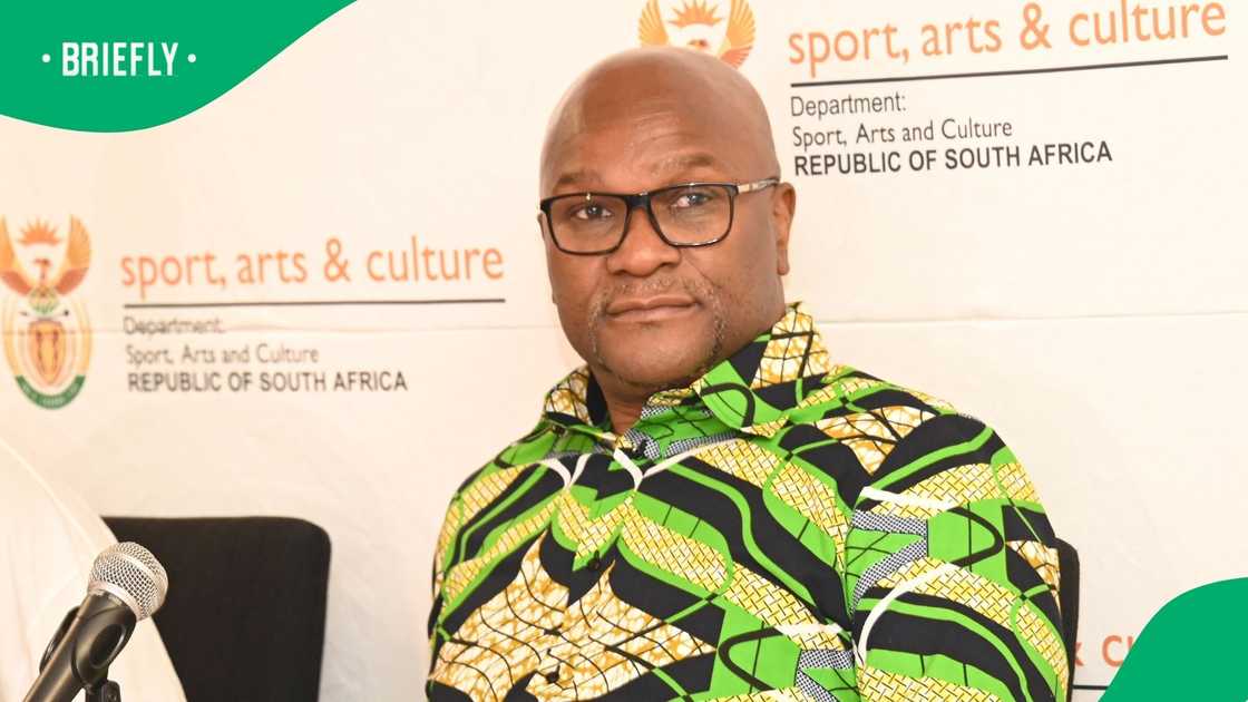 Nathi Mthethwa's family denied that his homestead's perimeter wall was built using statement