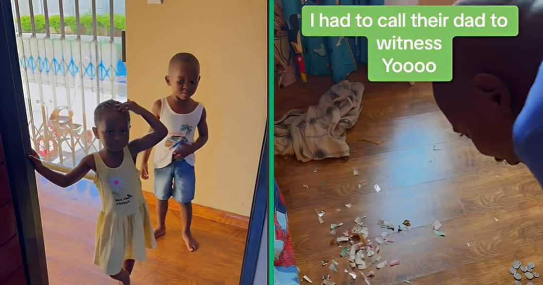 This stressed mother found her kids’ pocket money scattered over the floor in shreds and filmed it all This stressed mother found her kids’ pocket money scattered over the floor in shreds and filmed it all