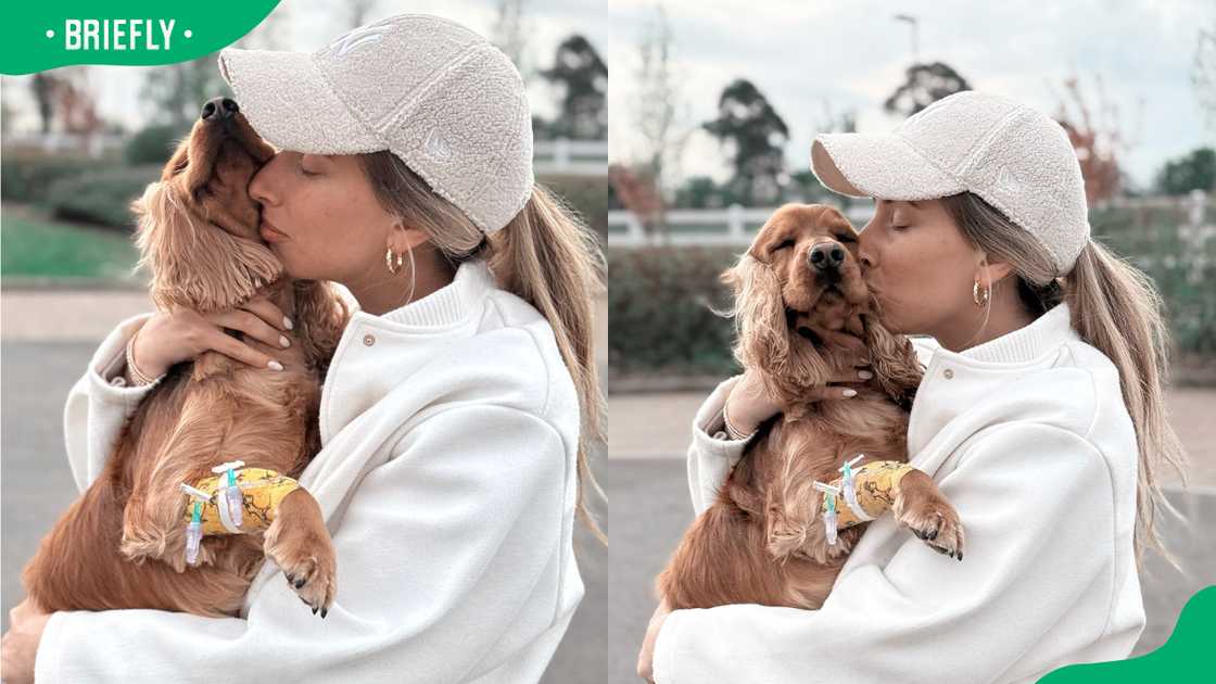 Joe and Stacey's dog