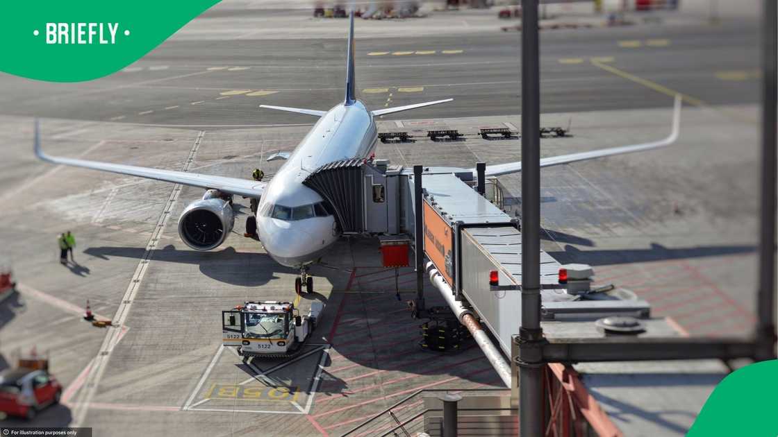 Video show airport staff moving bags carelessly