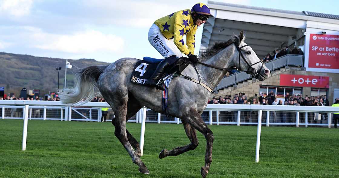 Mzansi’s time to shine on one of international horseracing’s