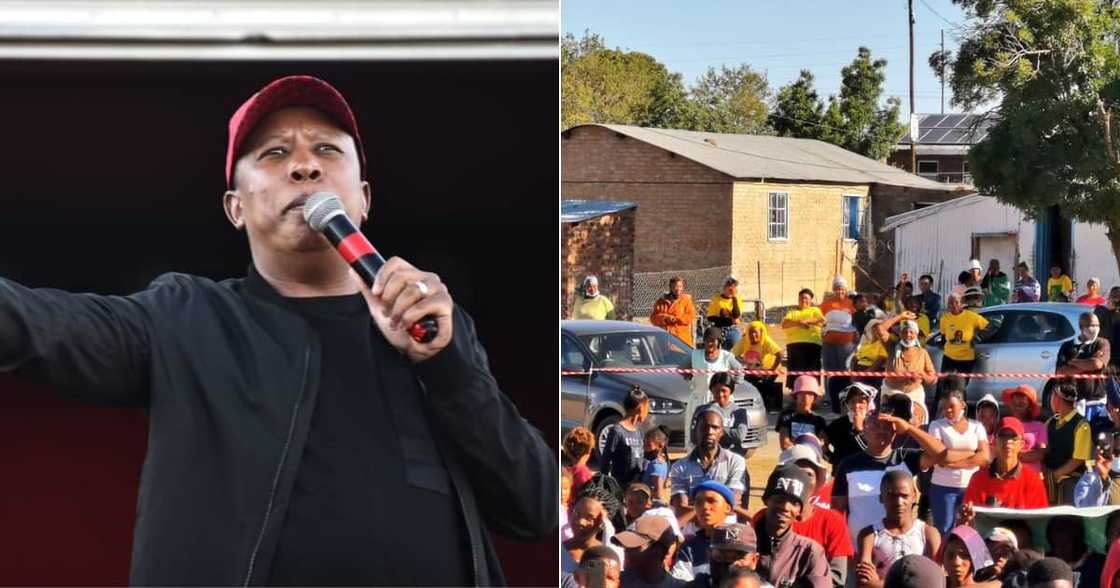 Julius Malema, EFF, Rally, Pixley Ka Seme District, Northern Cape, ANC, Leadership, Social media, Party, Jibe Julius Malema, EFF, Rally, Pixley Ka Seme District, Northern Cape, ANC, Leadership, Social media, Party, Jibe