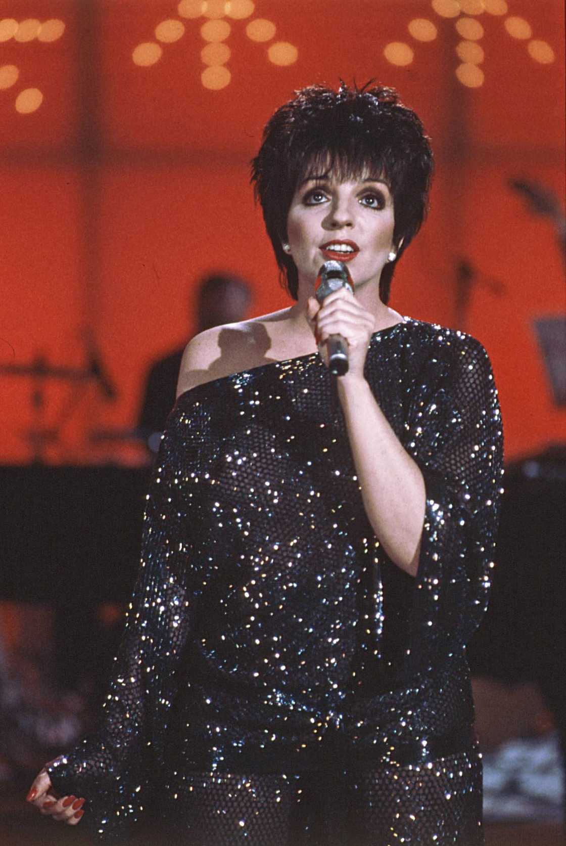 Liza Minnelli's net worth