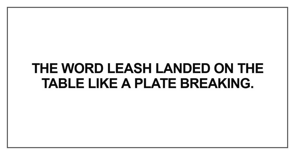 The word leash landed